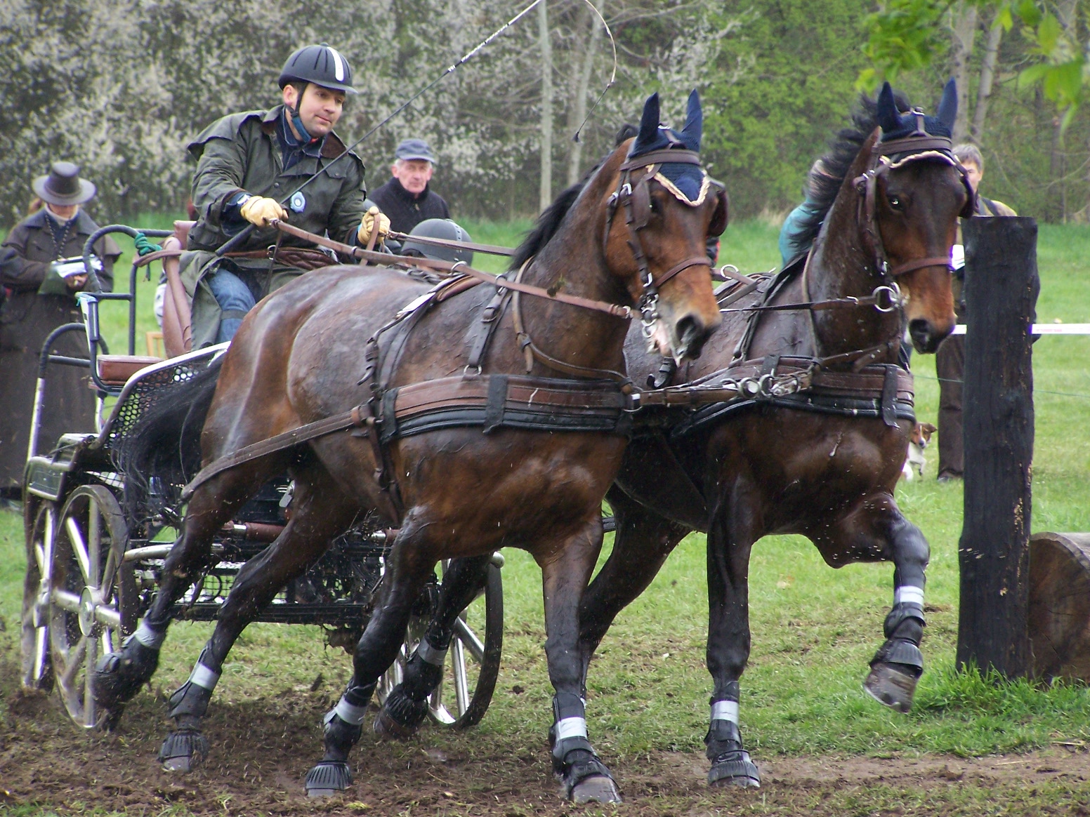 Závody Kladruby, a jiné 070.JPG