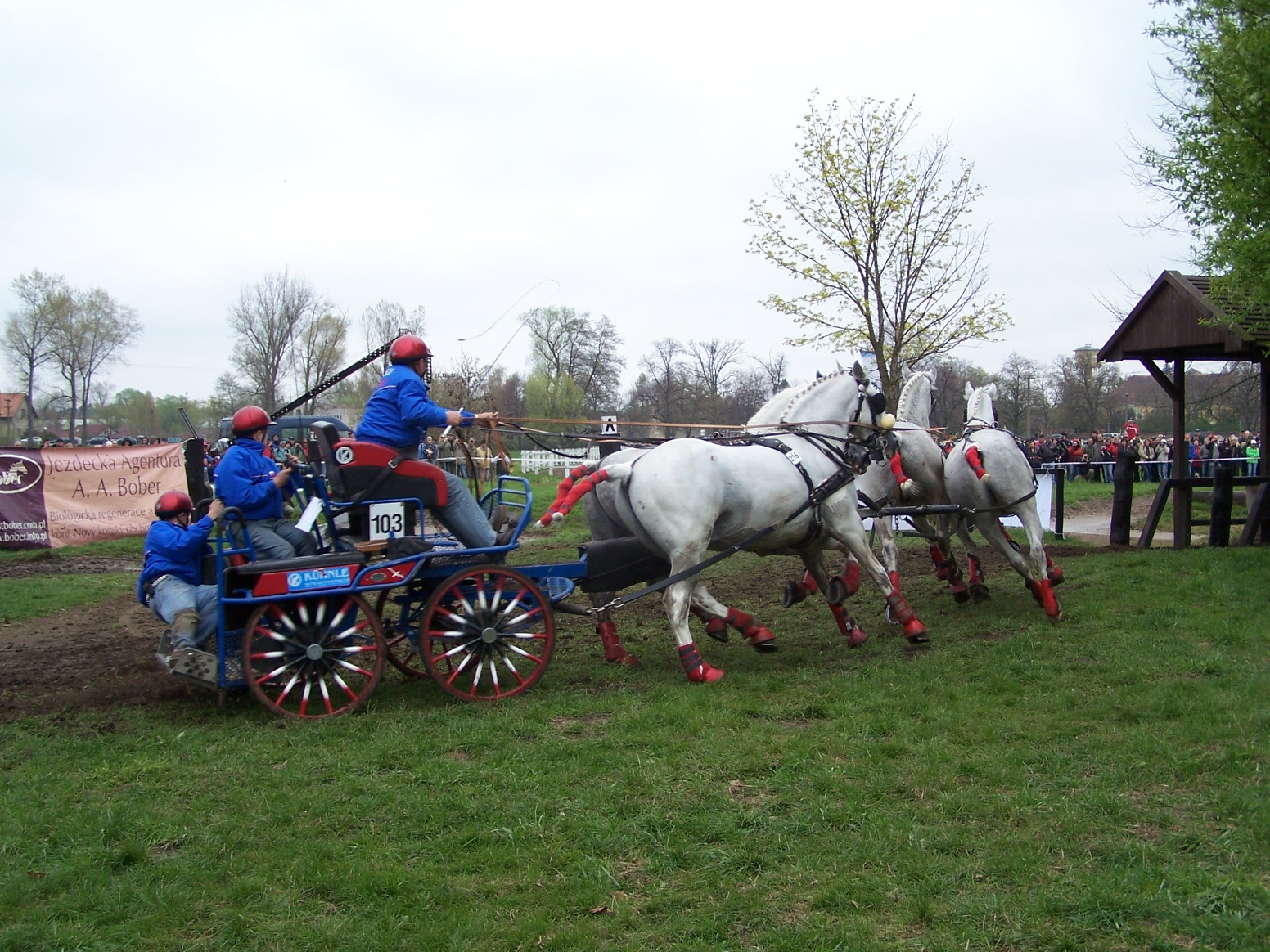 Závody Kladruby, a jiné 088.JPG