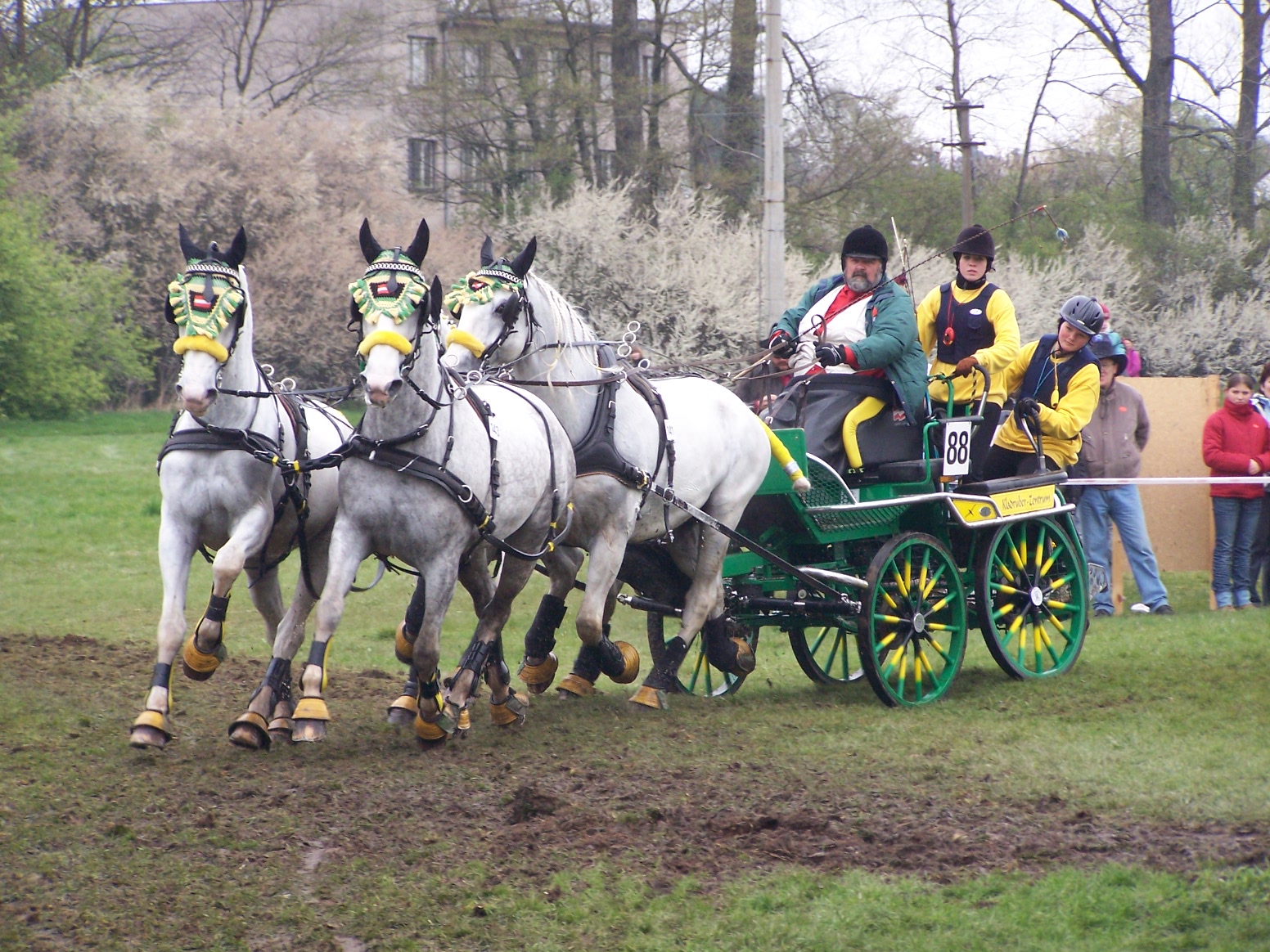 Závody Kladruby, a jiné 100.JPG